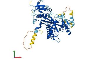 Protein Structure (PS) image for Tubulin tyrosine Ligase-Like Family, Member 1 (TTLL1) (AA 1-423) protein (His tag) (ABIN7544761)
