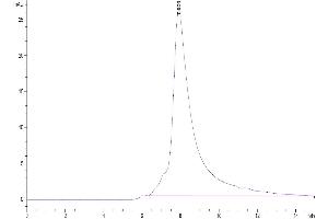 Size-exclusion chromatography-High Pressure Liquid Chromatography (SEC-HPLC) image for Killer Cell Lectin-Like Receptor Subfamily K, Member 1 (KLRK1) (AA 78-216) protein (His-Avi Tag,Biotin) (ABIN7275343)