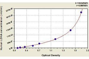 Typical Standard Curve (Lactate Dehydrogenase A ELISA 试剂盒)