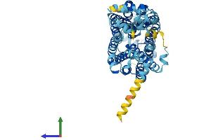 Protein Structure (PS) image for Solute Carrier Family 22 (Organic Cation Transporter), Member 11 (SLC22A11) (AA 1-550) protein (His tag) (ABIN7551614)
