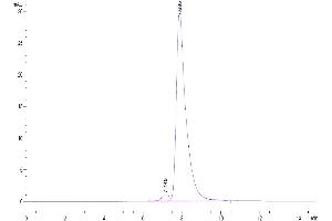 Size-exclusion chromatography-High Pressure Liquid Chromatography (SEC-HPLC) image for S100 Calcium Binding Protein B (S100B) (AA 2-92) protein (Fc Tag) (ABIN7275539)