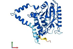AlphaFold protein structure predicition of Human Recombinant AWAT1 Protein, UniprotID Q58HT5 (AWAT1 Protein (AA 1-328) (His tag))