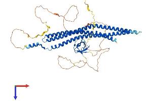 AlphaFold protein structure predicition of Mouse Recombinant Baiap2 Protein, UniprotID Q8BKX1 (BAIAP2 Protein (AA 1-535) (His tag))
