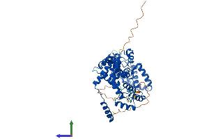 AlphaFold protein structure predicition of Mouse Recombinant Rgs6 Protein, UniprotID Q9Z2H2