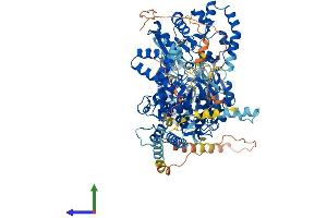 Protein Structure (PS) image for DEAH (Asp-Glu-Ala-His) Box Polypeptide 36 (DHX36) (AA 1-1008) protein (His tag) (ABIN7553706)