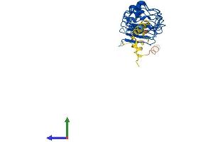 Protein Structure (PS) image for Leucine Rich Repeat Containing 10 (LRRC10) (AA 1-274) protein (His tag) (ABIN7559555)