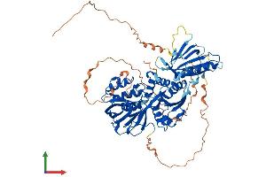 Protein Structure (PS) image for Sphingosine Kinase 2 (SPHK2) (AA 1-654) protein (His tag) (ABIN7546344)