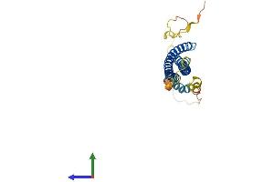 Protein Structure (PS) image for Synaptosomal-Associated Protein, 29kDa (SNAP29) (AA 1-260) protein (His tag) (ABIN7561428)