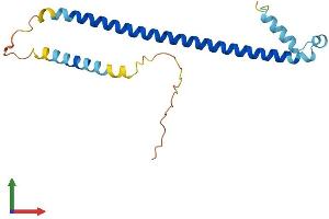 Protein Structure (PS) image for Activating Transcription Factor 3 (ATF3) (AA 1-181) protein (His tag) (ABIN7557605)