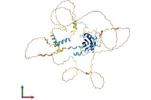 AlphaFold protein structure predicition of Human Recombinant SHB Protein, UniprotID Q15464