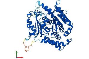 Protein Structure (PS) image for Tubulin, delta 1 (TUBD1) (AA 1-455) protein (His tag) (ABIN7556217)