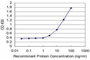 Detection limit for recombinant GST tagged TBX3 is approximately 1ng/ml as a capture antibody. (TBX3 抗体  (AA 311-410))