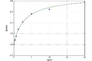 Sirtuin 7 (SIRT7) ELISA Kit