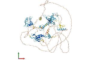 Protein Structure (PS) image for RNA Binding Motif Protein 10 (RBM10) (AA 1-930) protein (His tag) (ABIN7564887)