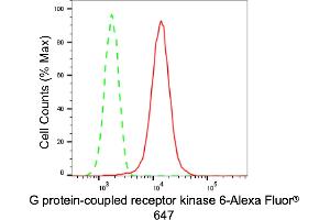 Flow cytometric analysis of G protein-coupled receptor kinase 6 expression in HT- cells using G protein-coupled receptor kinase 6 antibody (ABIN7798674), 1:2,000). (Recombinant GRK6 抗体)