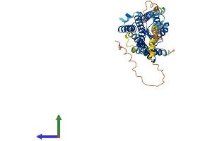 Protein Structure (PS) image for Prostaglandin E Receptor 1 (Subtype EP1), 42kDa (PTGER1) (AA 1-405) protein (His tag) (ABIN7563167)