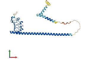 Protein Structure (PS) image for Leucine Rich Repeat Containing 59 (LRRC59) (AA 1-307) protein (His tag) (ABIN7560236)