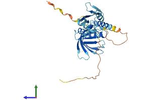 Protein Structure (PS) image for Signal Transducing Adaptor Family Member 1 (STAP1) (AA 1-295) protein (His tag) (ABIN7546398)