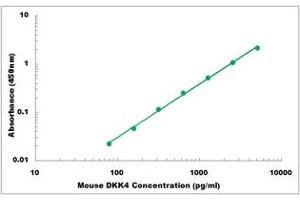 Representative Standard Curve (DKK4 ELISA 试剂盒)