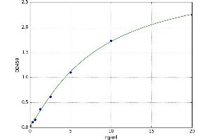 Glutathione S-Transferase alpha 3 (GSTA3) ELISA Kit
