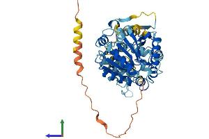 AlphaFold protein structure predicition of Human Recombinant DDX19B Protein, UniprotID Q9UMR2
