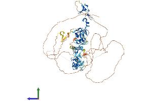 Protein Structure (PS) image for Actin Binding LIM Protein Family, Member 3 (ABLIM3) (AA 1-683) protein (His tag) (ABIN7551922)