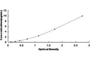 Typical standard curve (HPS6 ELISA 试剂盒)