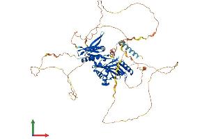 AlphaFold protein structure predicition of Human Recombinant SYN1 Protein, UniprotID P17600