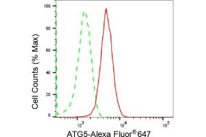 Flow cytometric analysis of ATG5 expression in HepG2 cells using ATG5 antibody (ABIN7797674), 1:2,000). (Recombinant ATG5 抗体)
