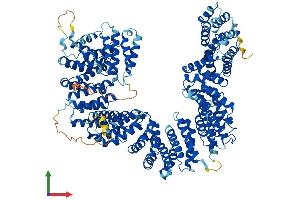 Protein Structure (PS) image for Tubulin Folding Cofactor D (TBCD) (AA 1-1196) protein (His tag) (ABIN7564460)