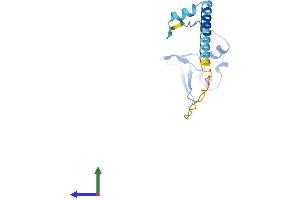 Protein Structure (PS) image for Ribosomal Protein L24 (RPL24) (AA 1-157) protein (His tag) (ABIN7551434)