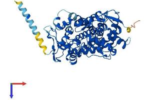 CYP2S1 Protein (AA 1-504) (His tag)