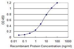 Detection limit for recombinant GST tagged ETV1 is 0. (ETV1 抗体  (AA 148-257))