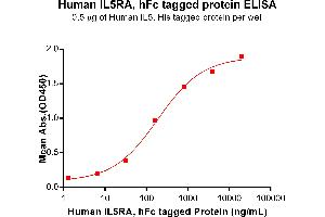 ELISA image for Interleukin 5 Receptor, alpha (IL5RA) (AA 21-338) protein (Fc Tag) (ABIN7092703)