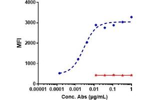 A549 cells were stained with Anti-ROR1 Reference Antibody (zilovertamab) and negative control protein respectively, washed and then followed by PE and analyzed with FACS, EC50=0. (Recombinant ROR1 (Zilovertamab Biosimilar) 抗体)