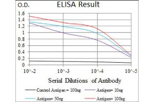 Red: Control Antigen (100ng) ; Purple: Antigen (10ng) ; Green: Antigen (50ng) ; Blue: Antigen (100ng). (DKK3 抗体  (AA 91-350))