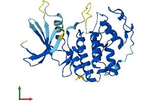 Protein Structure (PS) image for Cyclin-Dependent Kinase 5 (CDK5) (AA 1-292) protein (His tag) (ABIN7553063)