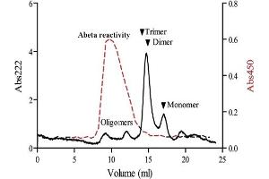 Abeta oligomer-specific antibody was adsorbed to Nunc-Immuno MaxiSorp plates (Nunc, Roskilde, Denmark) at 2 ug/ml in PBS. (beta Amyloid 抗体)