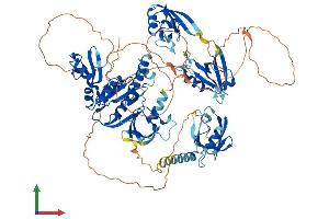 Protein Structure (PS) image for Discs, Large Homolog 2 (DLG2) (AA 1-870) protein (His tag) (ABIN7553712)