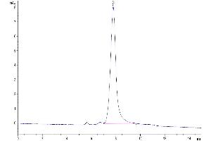 Size-exclusion chromatography-High Pressure Liquid Chromatography (SEC-HPLC) image for Secreted phosphoprotein 1 (SPP1) (AA 17-294) protein (His tag) (ABIN7275648)