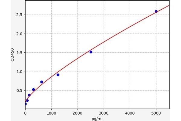 Ribokinase ELISA 试剂盒