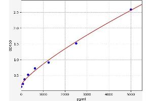 Typical standard curve (Ribokinase ELISA 试剂盒)