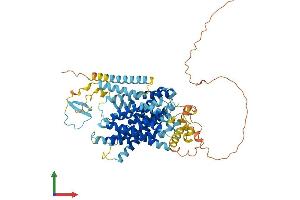 Protein Structure (PS) image for Solute Carrier Family 9, Subfamily A (NHE9, Cation Proton Antiporter 9), Member 9 (SLC9A9) (AA 1-644) protein (His tag) (ABIN7559028)