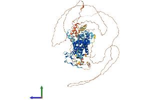 Protein Structure (PS) image for Zinc Finger, FYVE Domain Containing 28 (ZFYVE28) (AA 1-905) protein (His tag) (ABIN7564159)