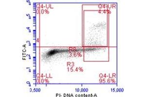 Flow Cytometry (FACS) image for anti-Histone H3 (H3) (pSer10) antibody (ABIN7449558) (Histone 3 抗体  (pSer10))