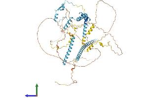 Protein Structure (PS) image for CLK4-Associating Serine/arginine Rich Protein (CLASRP) (AA 1-668) protein (His tag) (ABIN7559301)