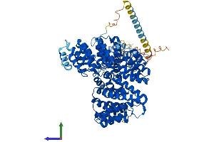Protein Structure (PS) image for N(alpha)-Acetyltransferase 15, NatA Auxiliary Subunit (NAA15) (AA 1-865) protein (His tag) (ABIN7564261)