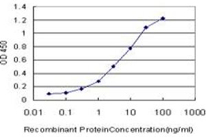 Detection limit for recombinant GST tagged SALL2 is approximately 0. (SALL2 抗体  (AA 1-198))