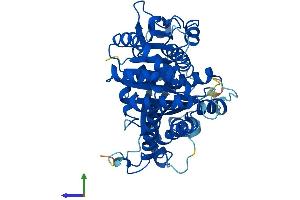 Protein Structure (PS) image for Tubulin, gamma 1 (TUBG1) (AA 1-451) protein (His tag) (ABIN7556756)