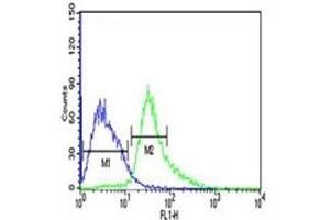 ATF1 antibody flow cytometric analysis of Jurkat cells (right histogram) compared to a negative control (left histogram). (AFT1 抗体  (AA 193-219))